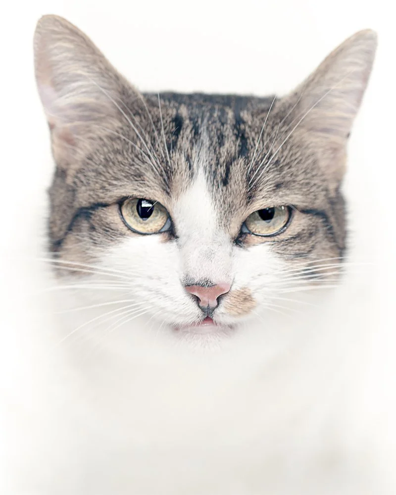 Milla