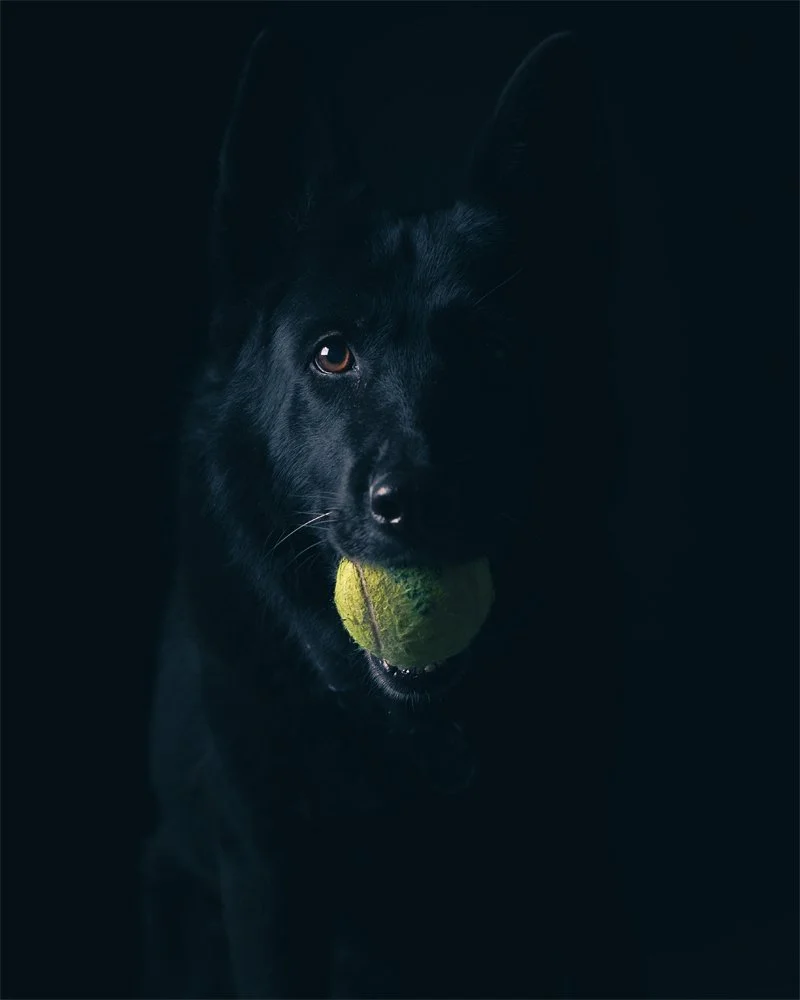 Zoe