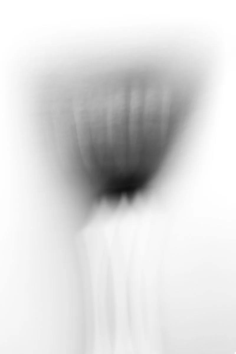 Spasmo 1.jpg