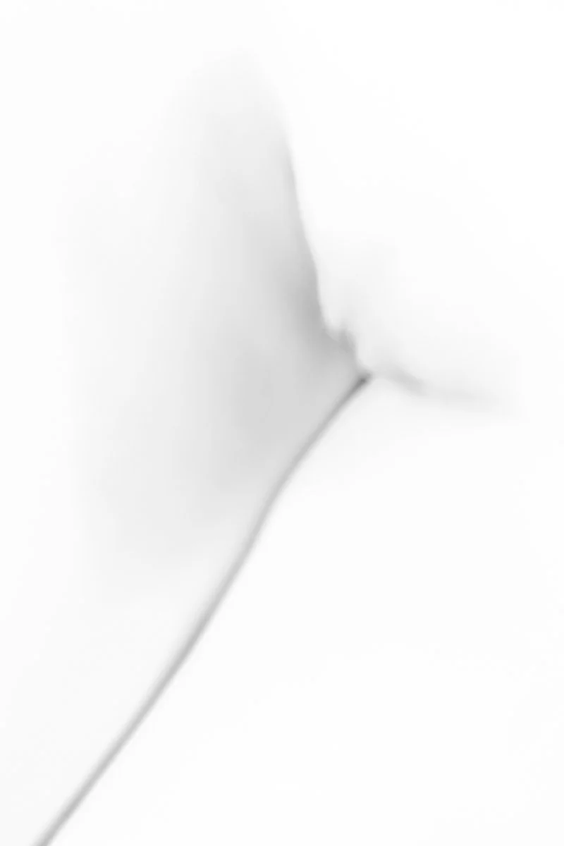 Spasmo 7.jpg