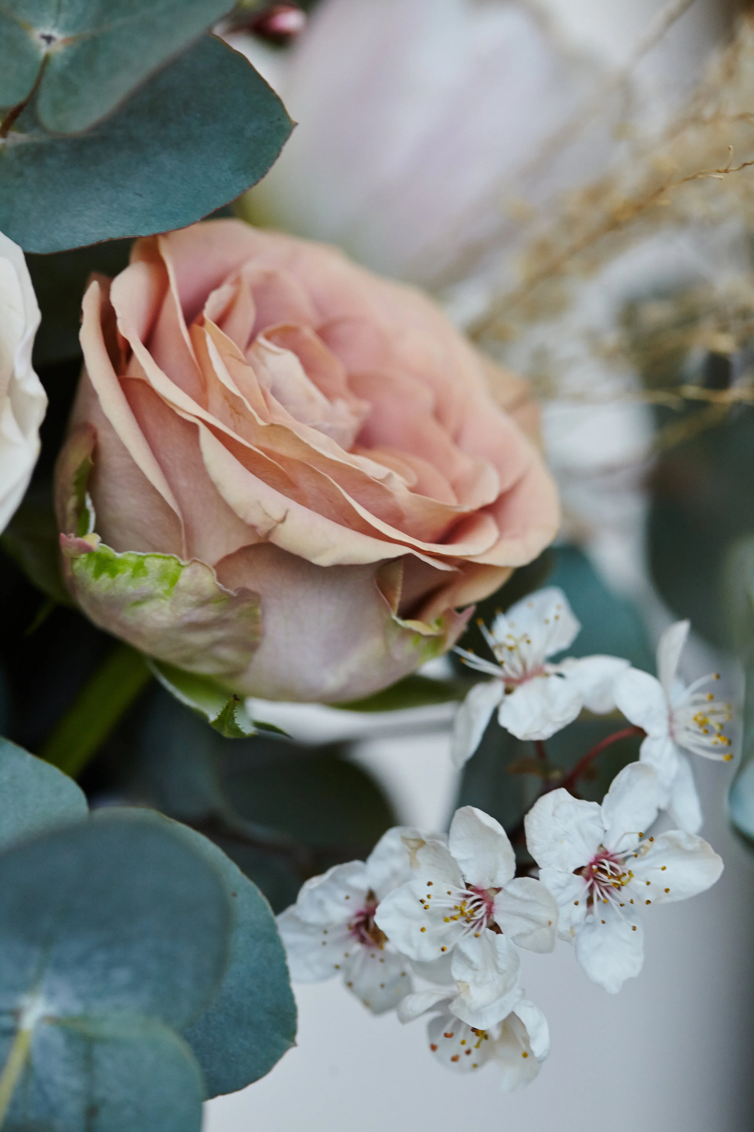 VJ_Brides13782.jpg