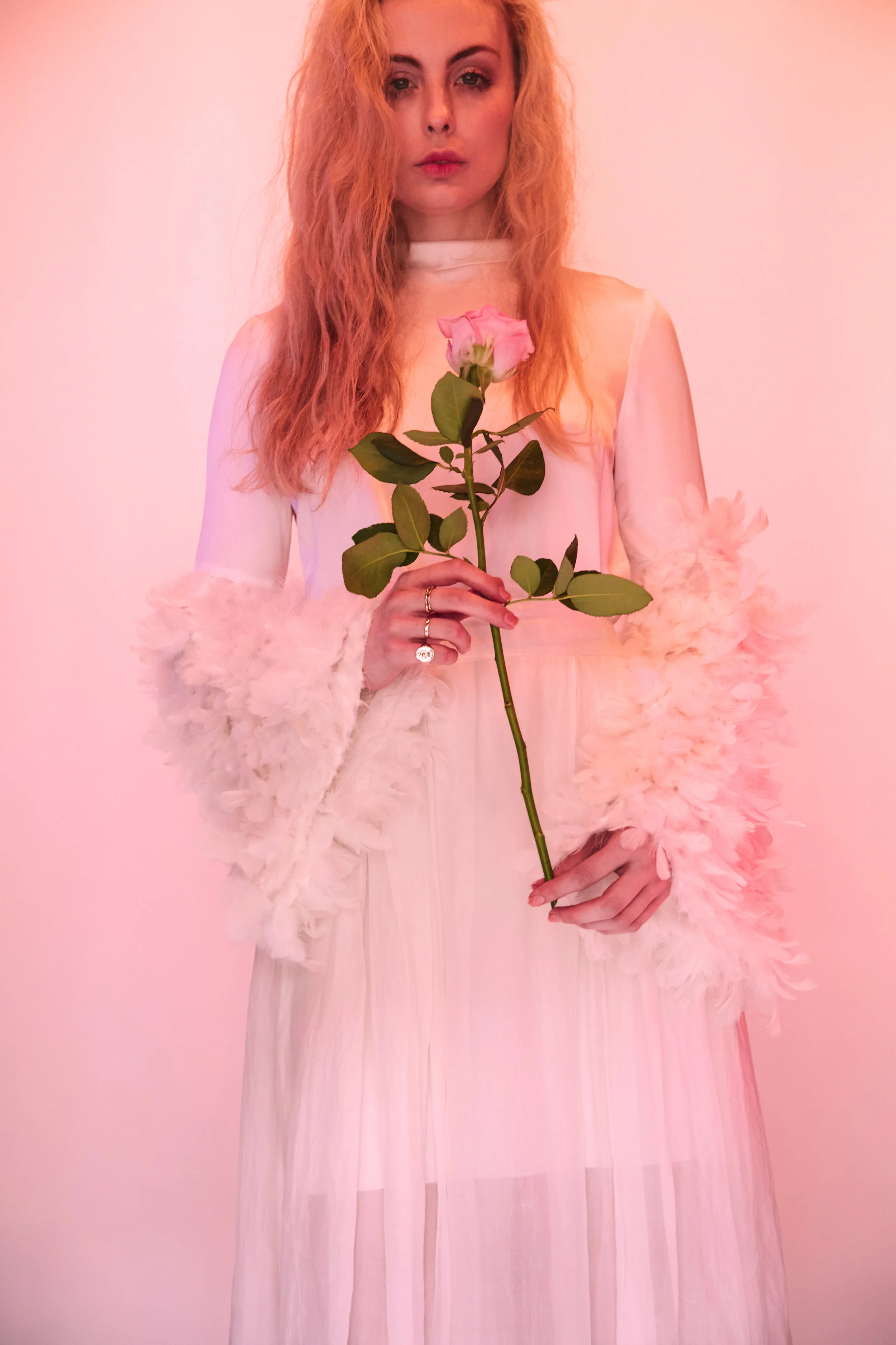 Velvet_Johnstone_573.jpg