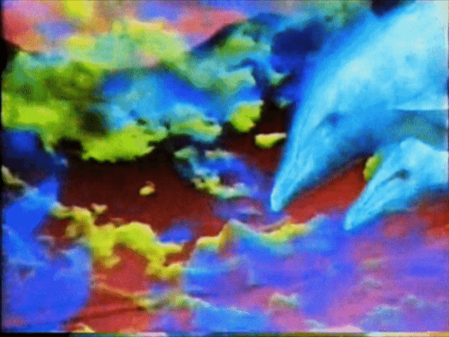 #254, Midway