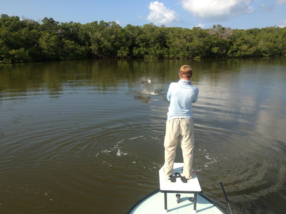 Everglades Fly Fishing Guides  Tarpon — Everglades Fishing Lodge