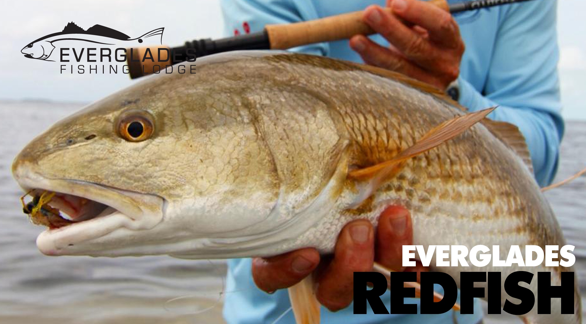 Everglades Fly Fishing Guides  Redfish — Everglades Fishing Lodge