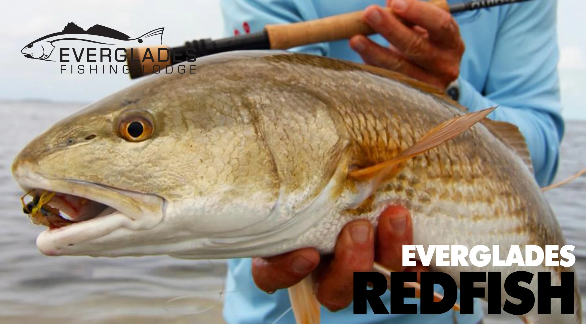 everglades-redfish-fishing.jpg