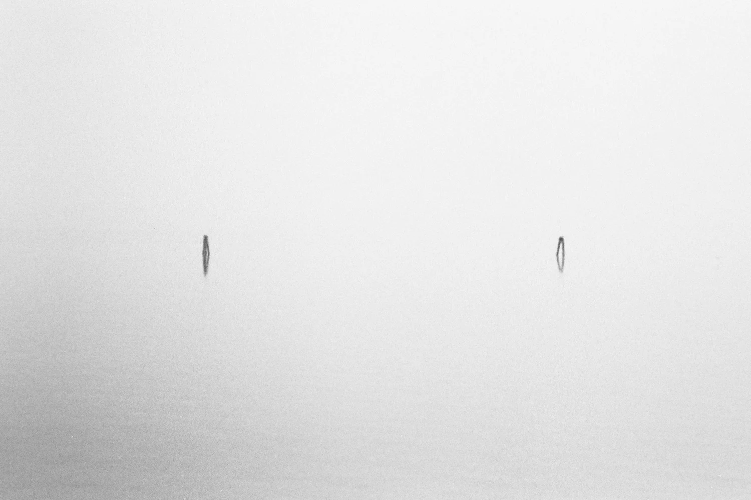  Venice, Italy  December 2015&nbsp; 