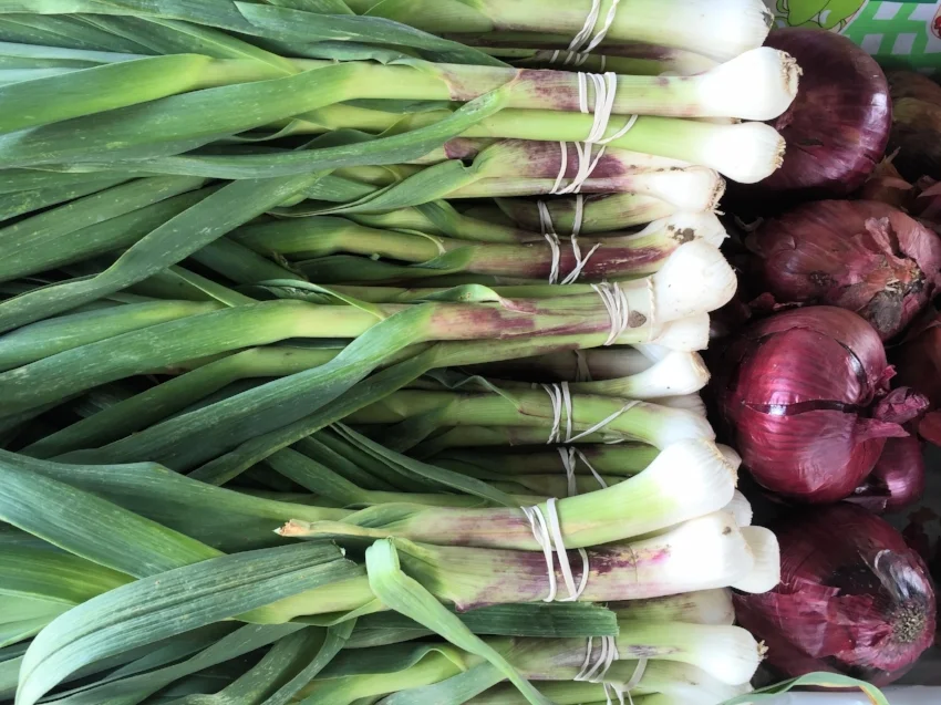 Spring garlic, a special Spring treat, is highly nutritious and cleansing. Also known as green garlic, it's availability doesn't last long. This young garlic has hints of purple as apposed to leeks which are green-white. They are delicious sautéed. Replace 1 entire green garlic stem and bulb for 1 clove of regular garlic.