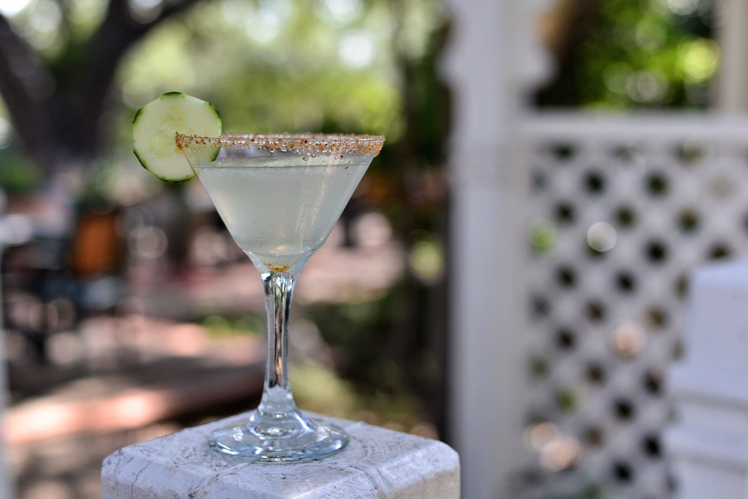 Cucumber Martini.jpeg
