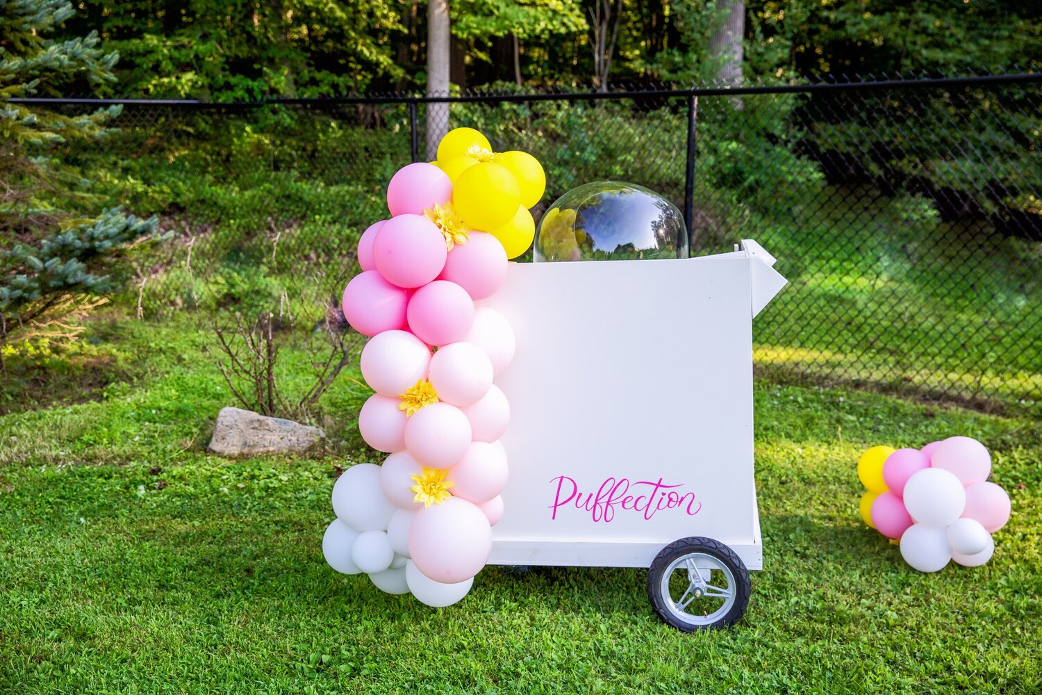 THE perfect addition to any kid’s event are concession stand food carts. Tasha of All About Play brought her Puffection cart to give the kids a taste of her organic lemon cotton candy.
