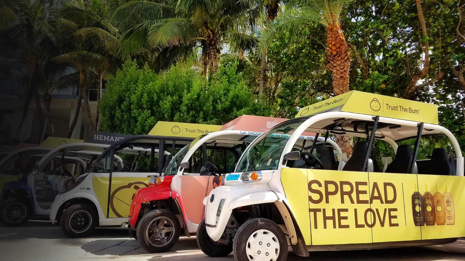 the platform (7).png