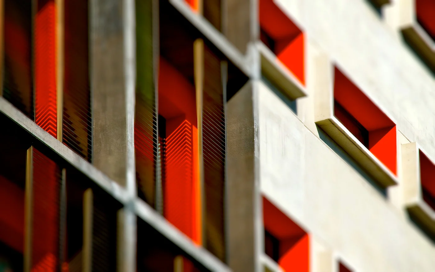 PPF05.jpg