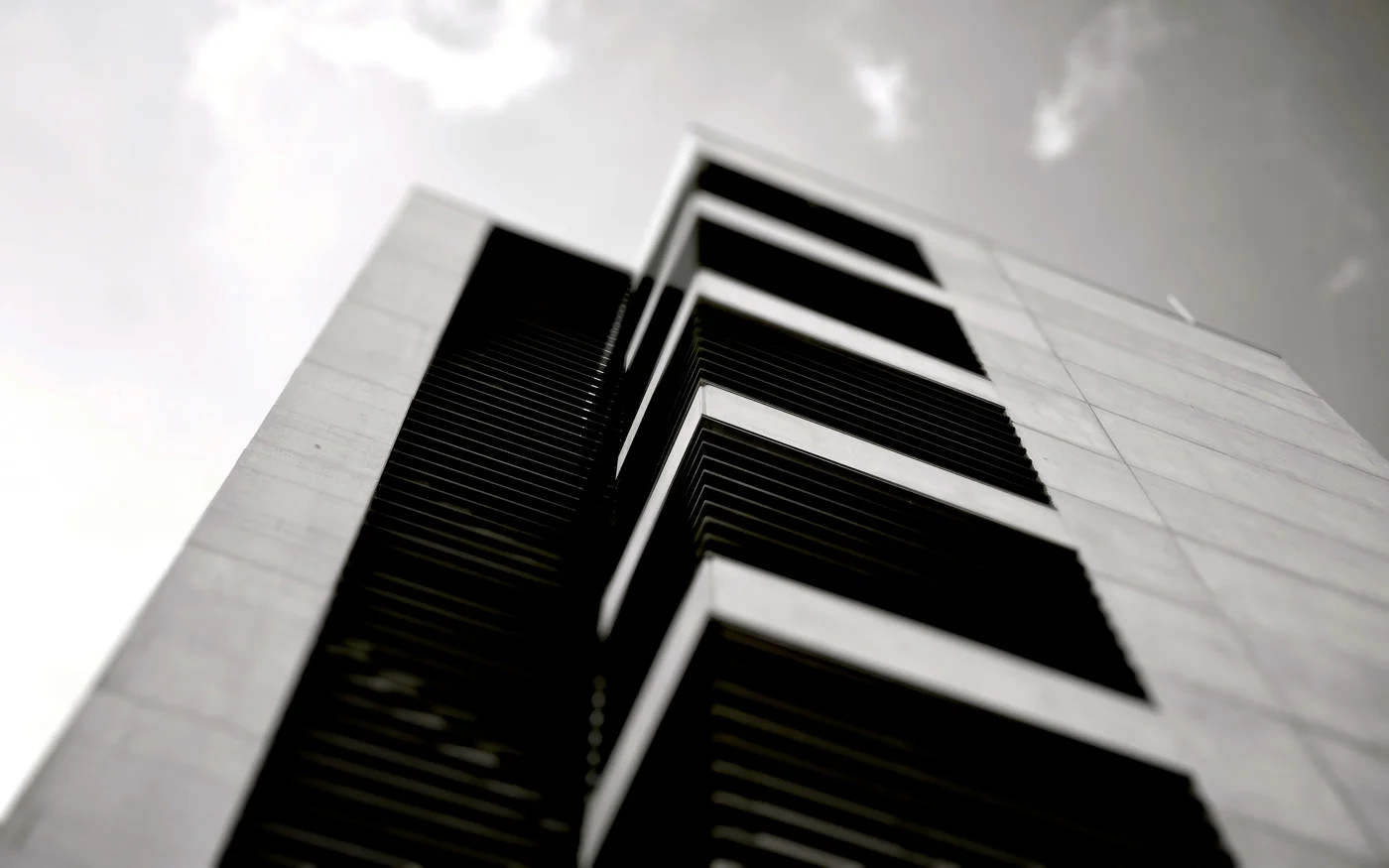 PPF06.jpg
