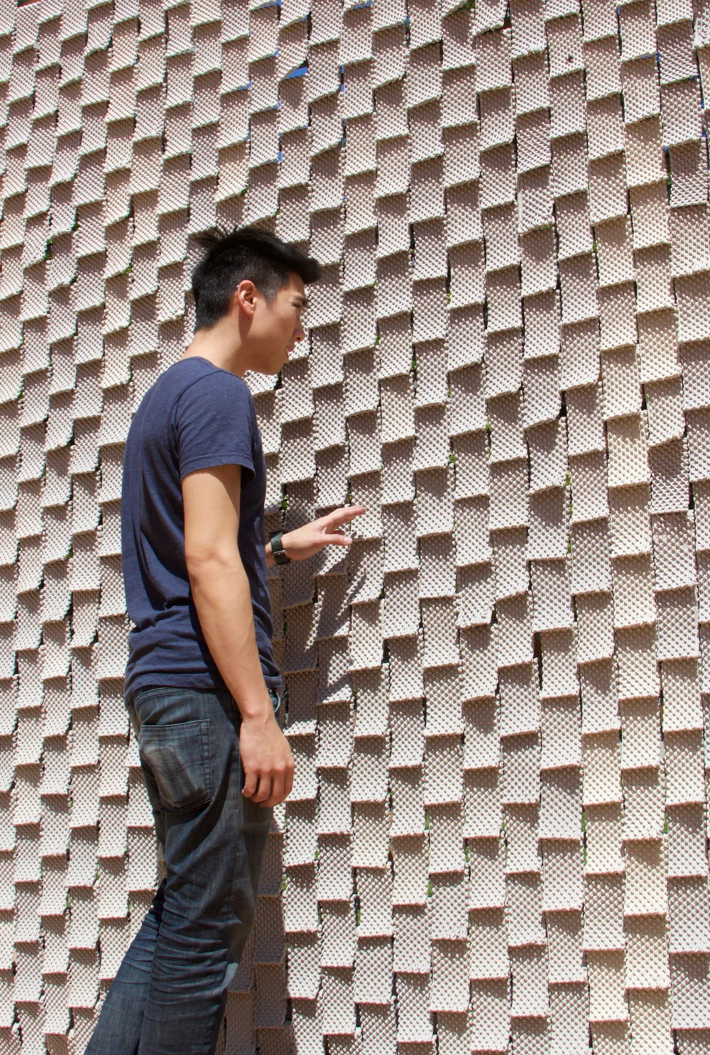 seed_stich_wall8.jpg