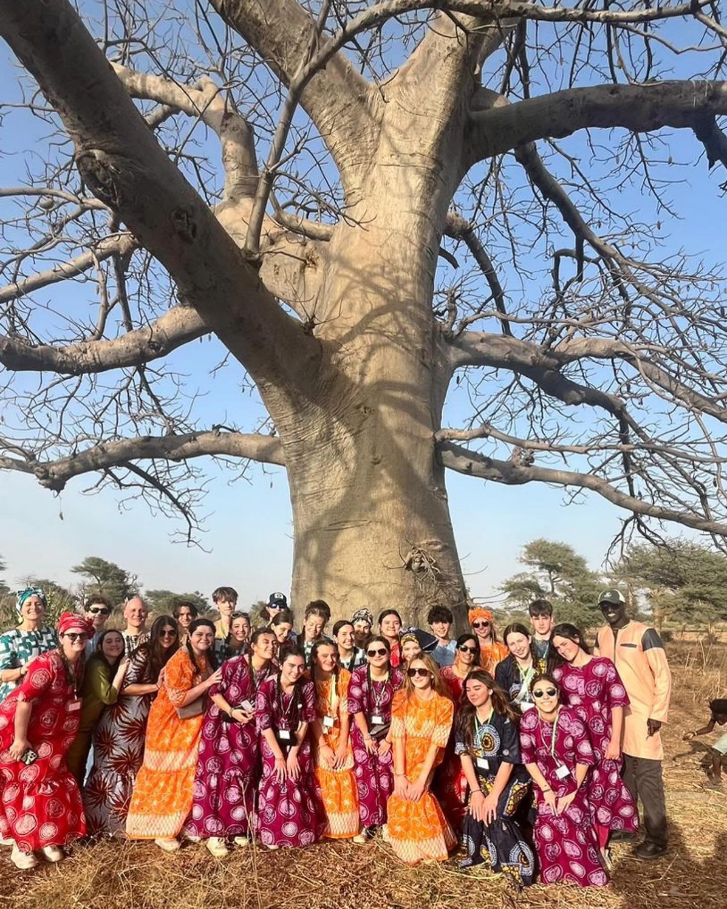 Mr. Seck&rsquo;s family&rsquo;s sacred baobab tree 💚

Baobab trees, otherwise known as the &ldquo;tree of life&rdquo; can live for up to 1,000 years! They provide delicious fruit and leaves that have many healing properties.