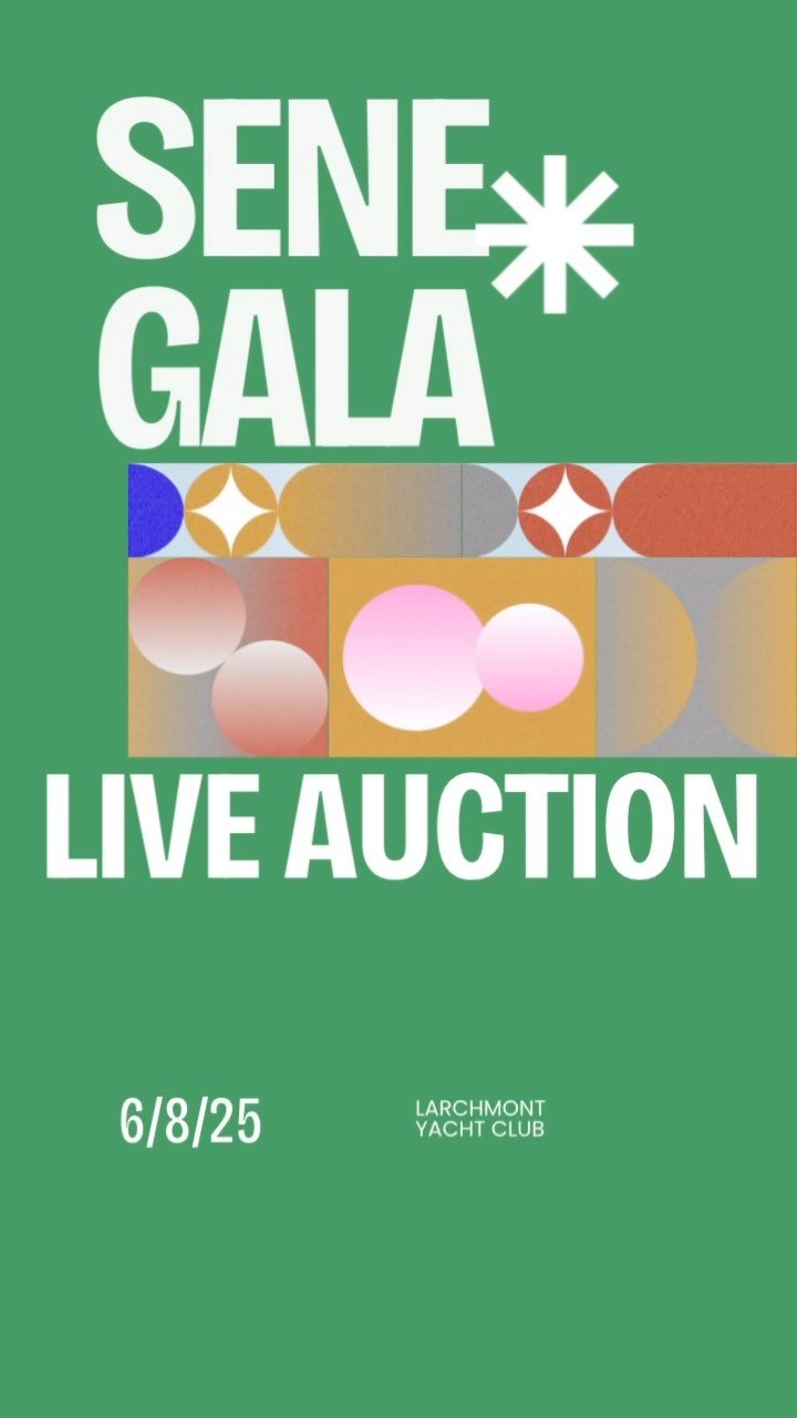 SeneGALA live auction prize list. Join us Sunday for awesome prizes: www.studentsforsenegal.org/gala