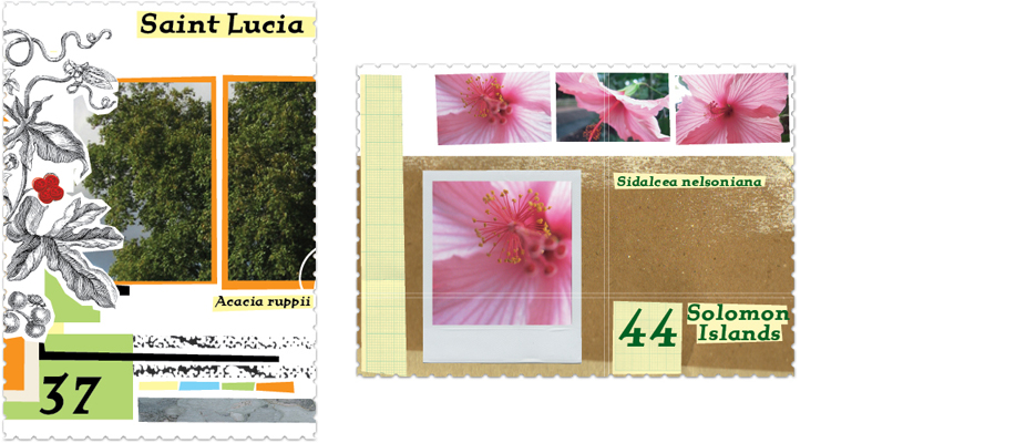 GARDEN MAIL 13.jpg