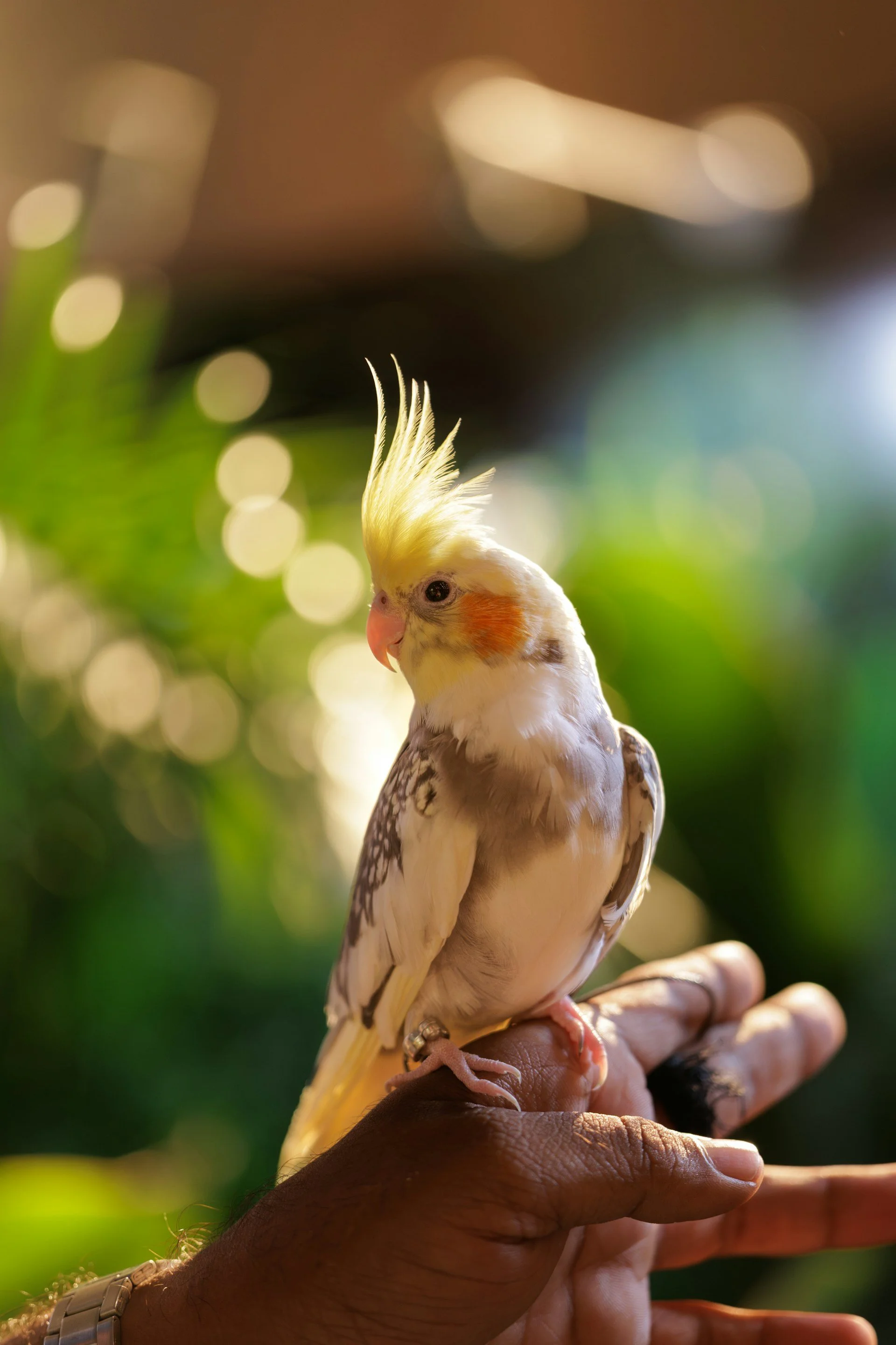 February 2026 - A Time to Love