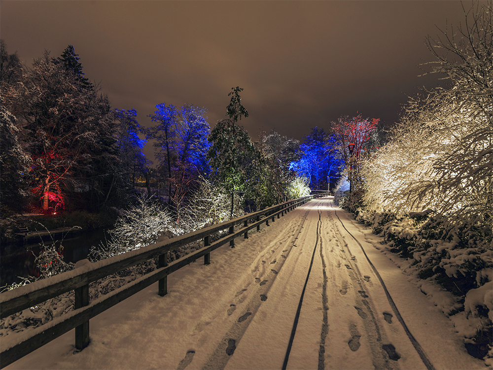 Lights-in-Alingsas_winterlighting.jpg