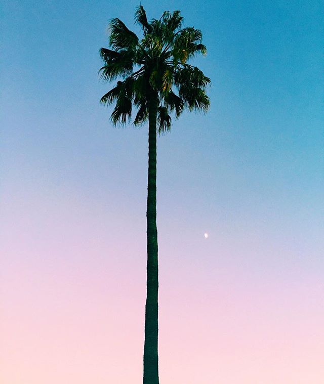 #sandiego