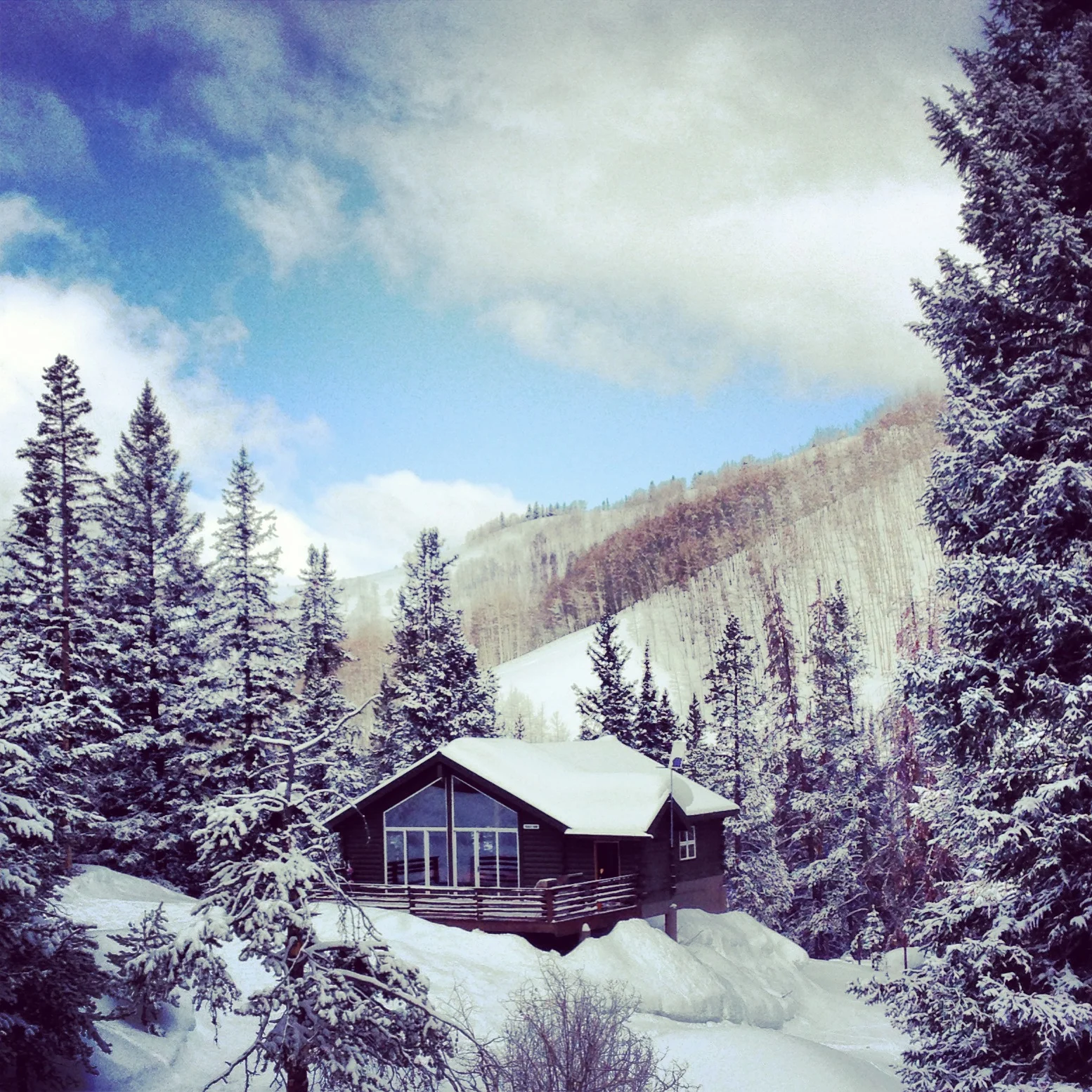 2013-03-11 11.59.41-2.jpg