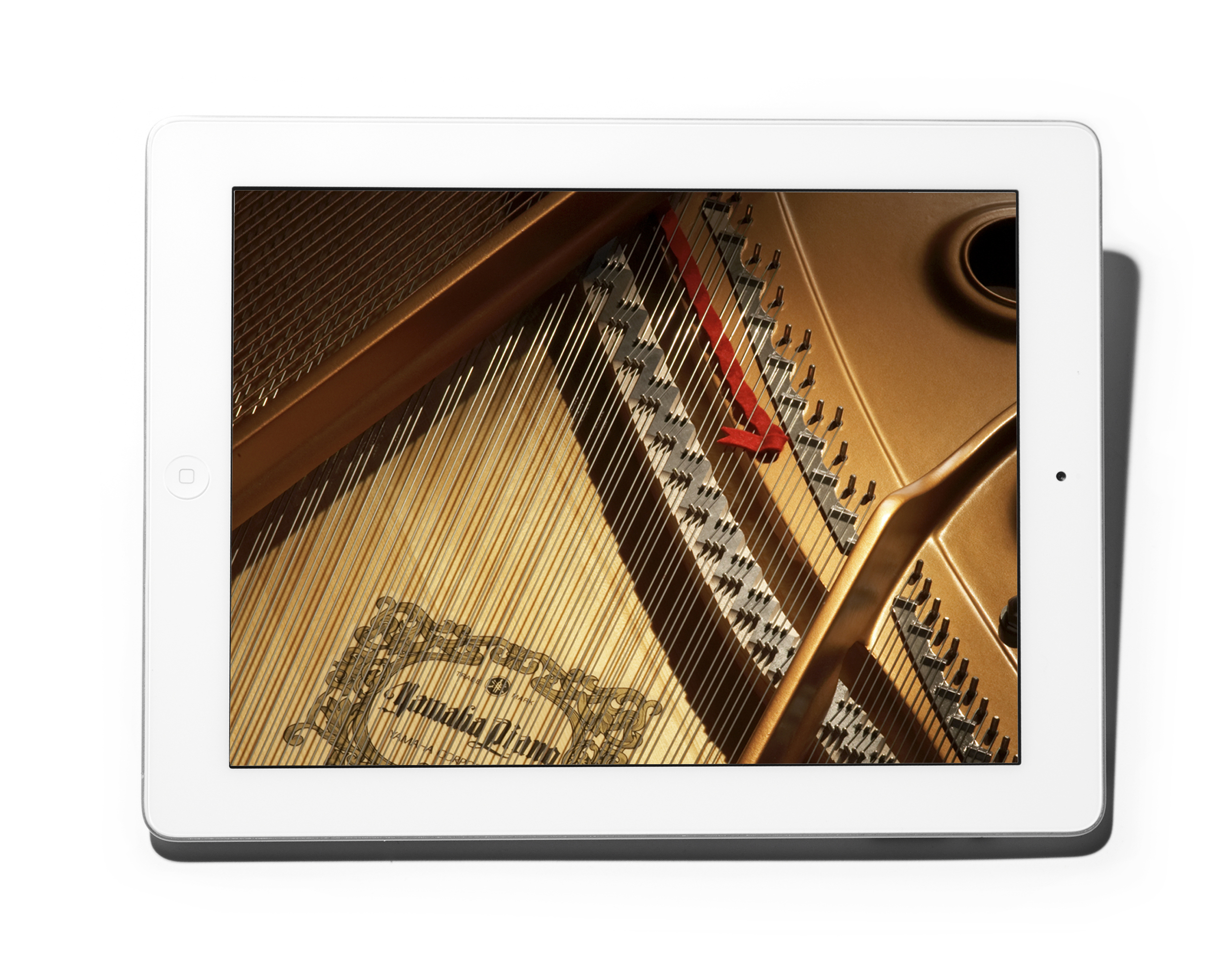ipad_10.jpg