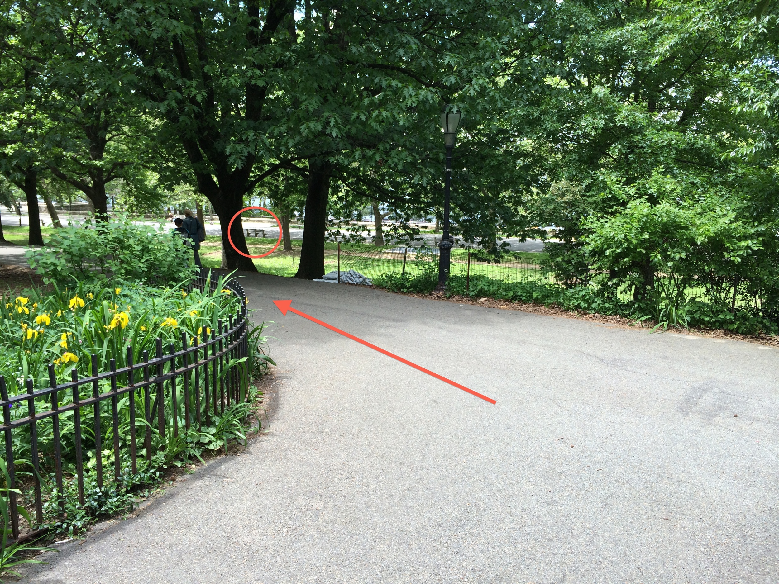 Turn left again and walk down the hill.