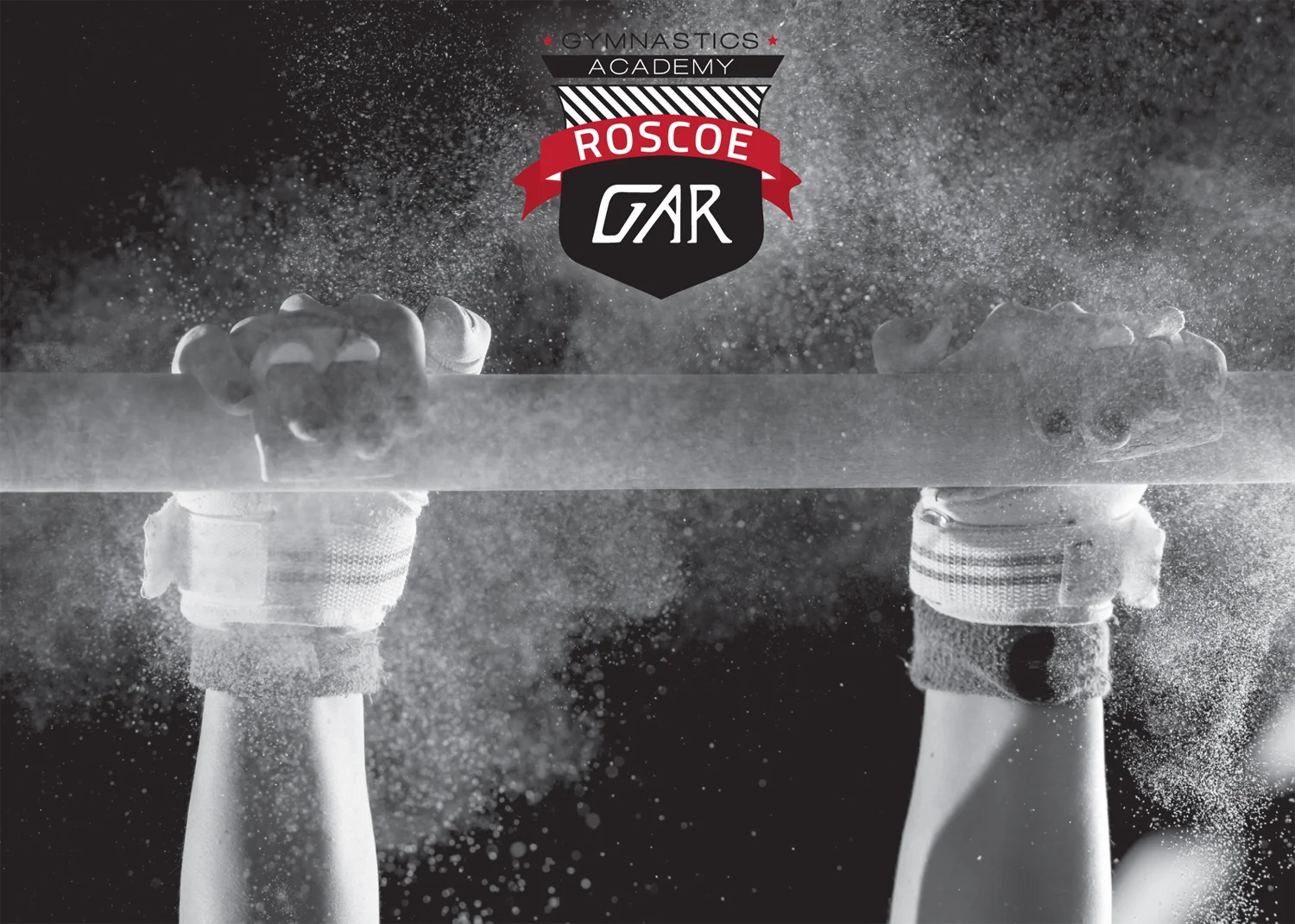 Gar flyer_imageback.jpg