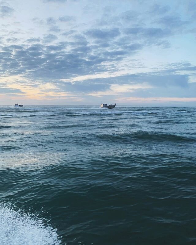 Wild fishing grounds, chasing wild fish.