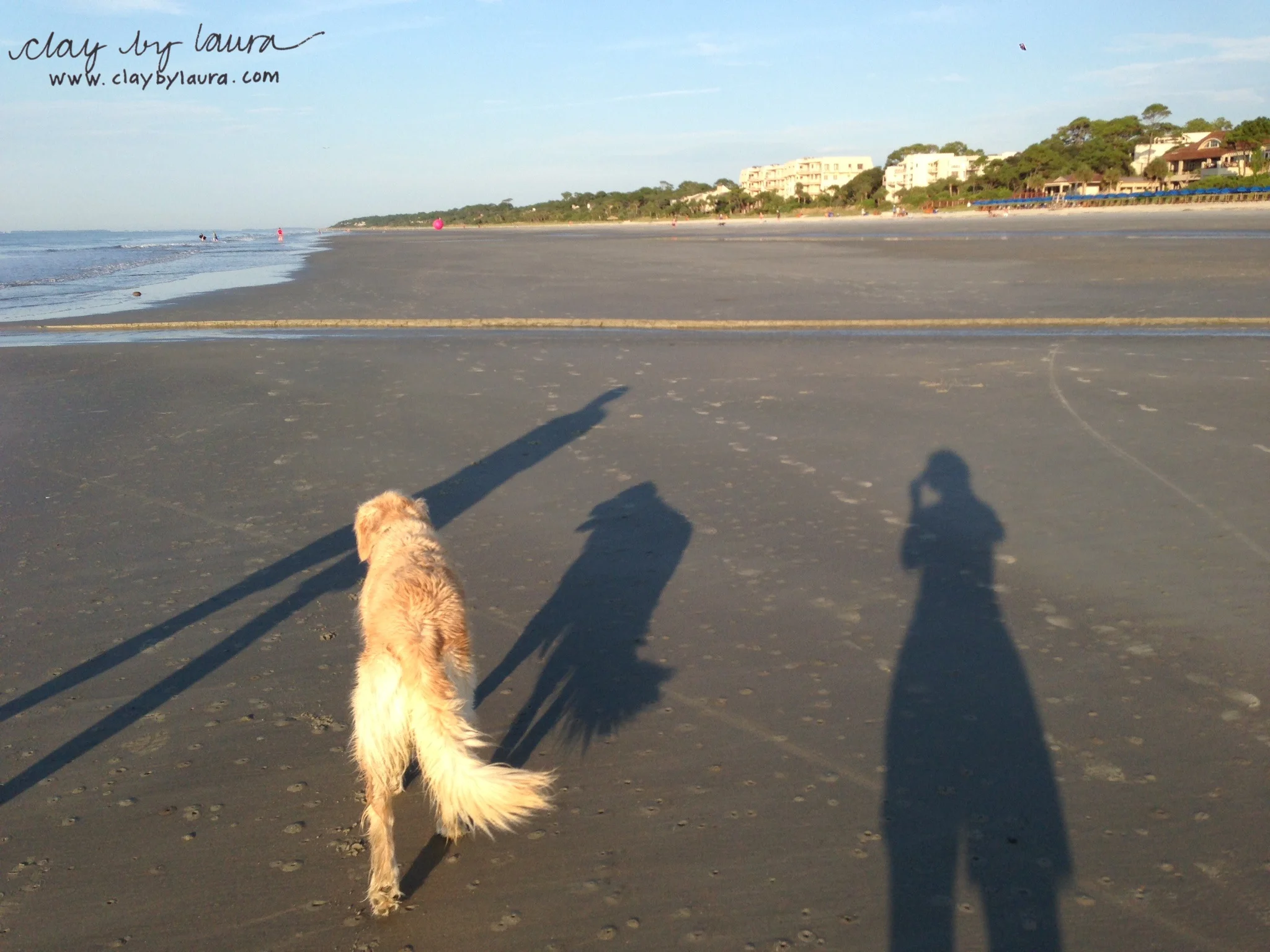 Early morning run, swim, walk!