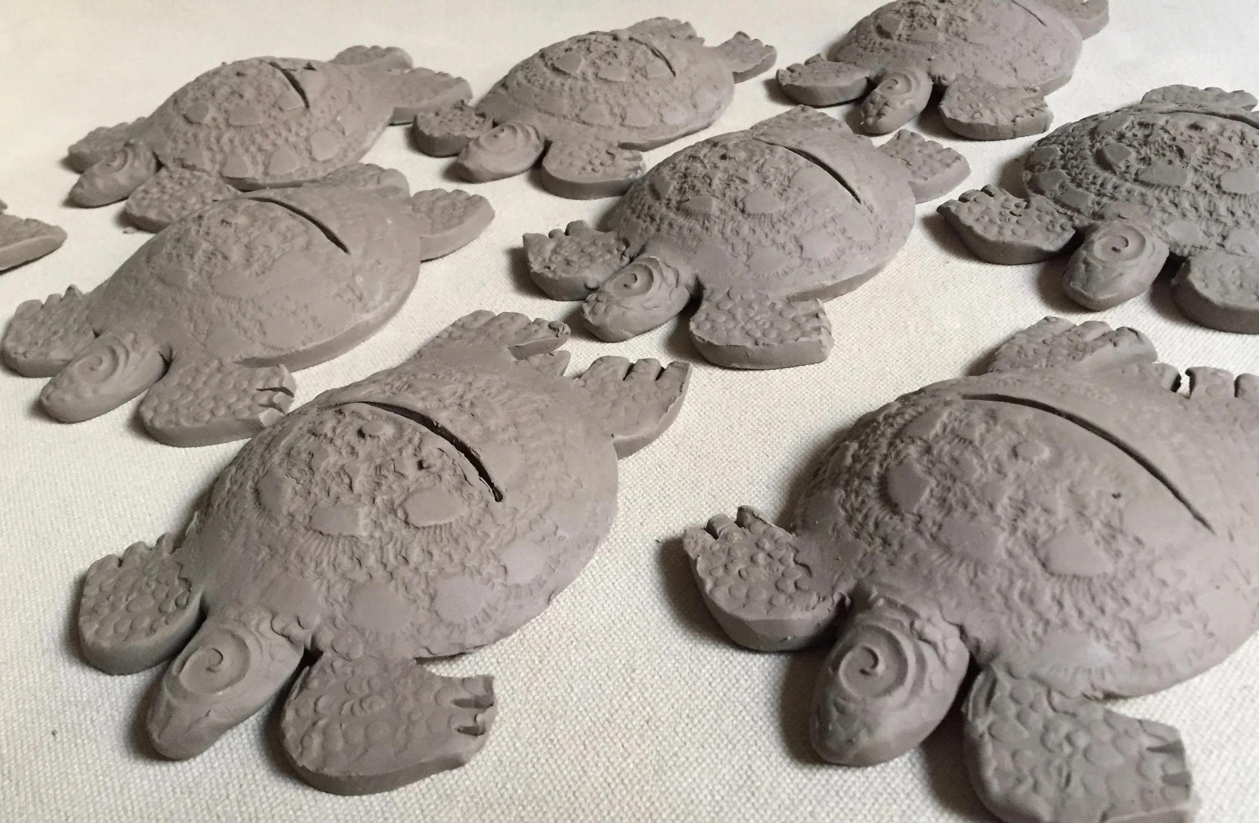 turtles.jpg