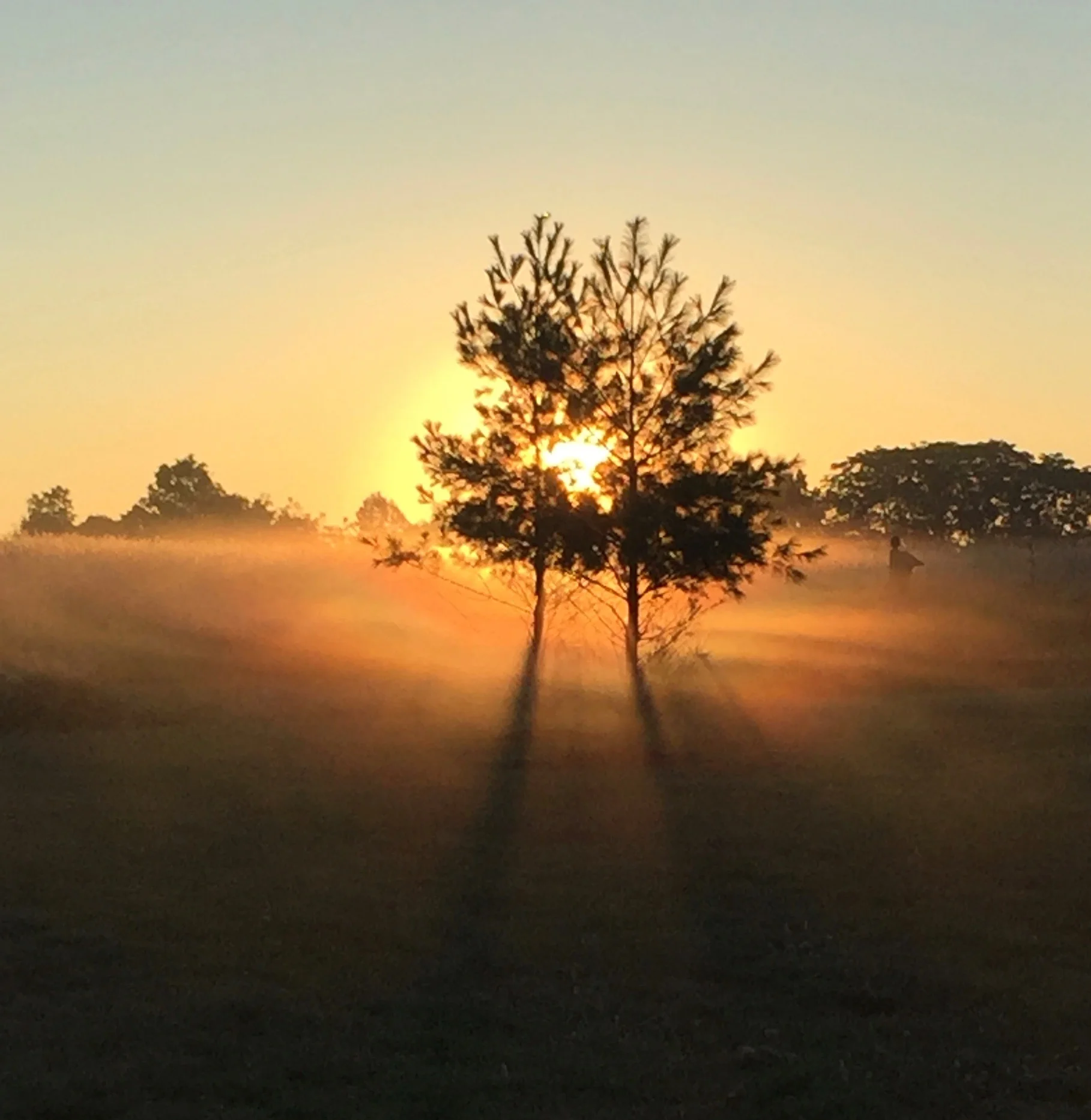 Sunrise. Sunset.