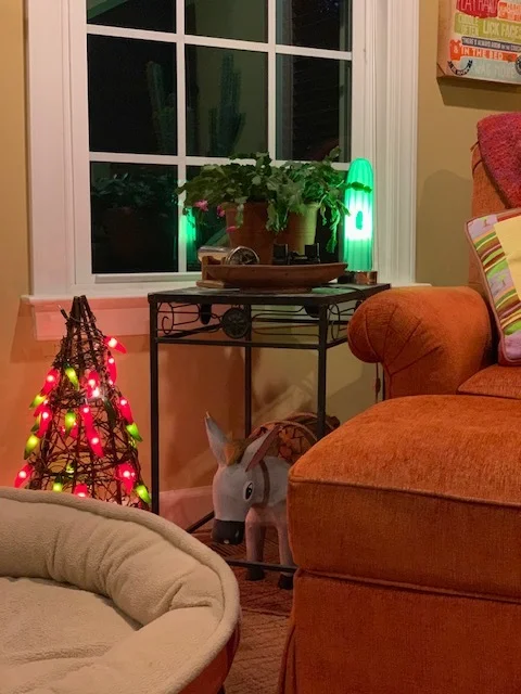 Here’s my nod to holiday decorating this year. A little tree covered in chili pepper lights next to my blooming Christmas cactus!