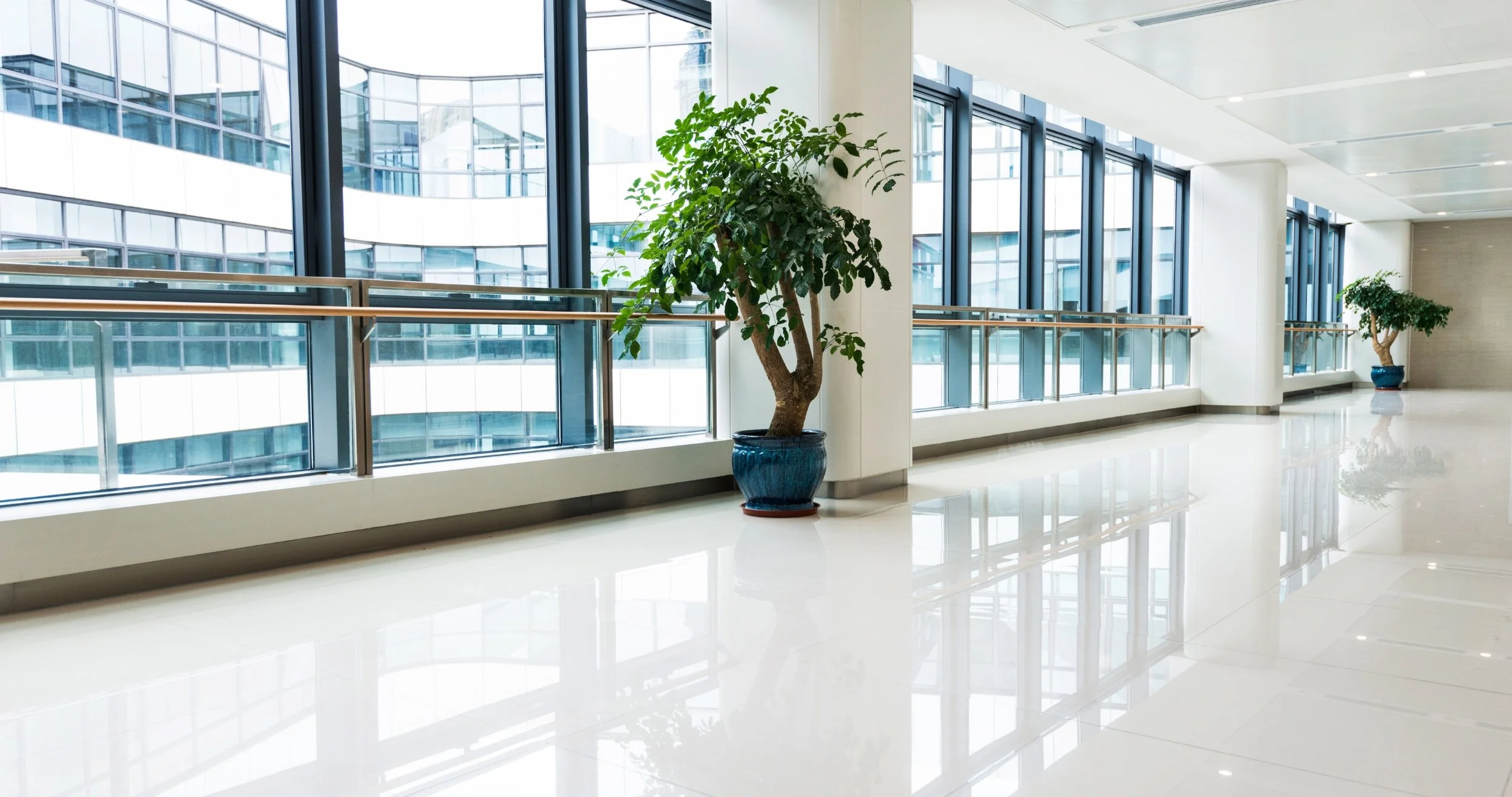 Interim Chief Nursing Officer Placement - image of empty hallway in hospital with potted plants
