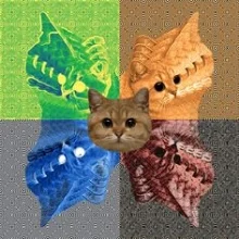 catgrid.jpg