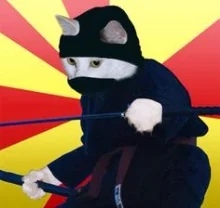 ninjacat.jpg