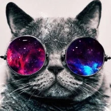 catspaceglasses.jpg