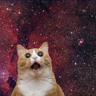 lighteningcat.jpg