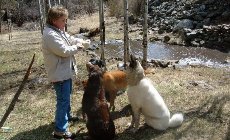 Allison gets focus from everyone.jpg