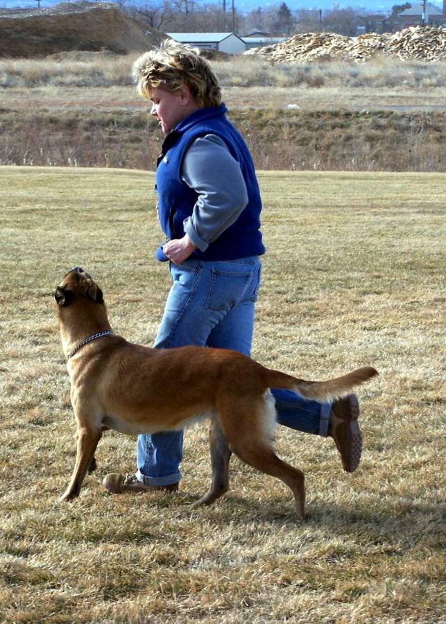 Bijou and Allison - jogging heel position.jpg
