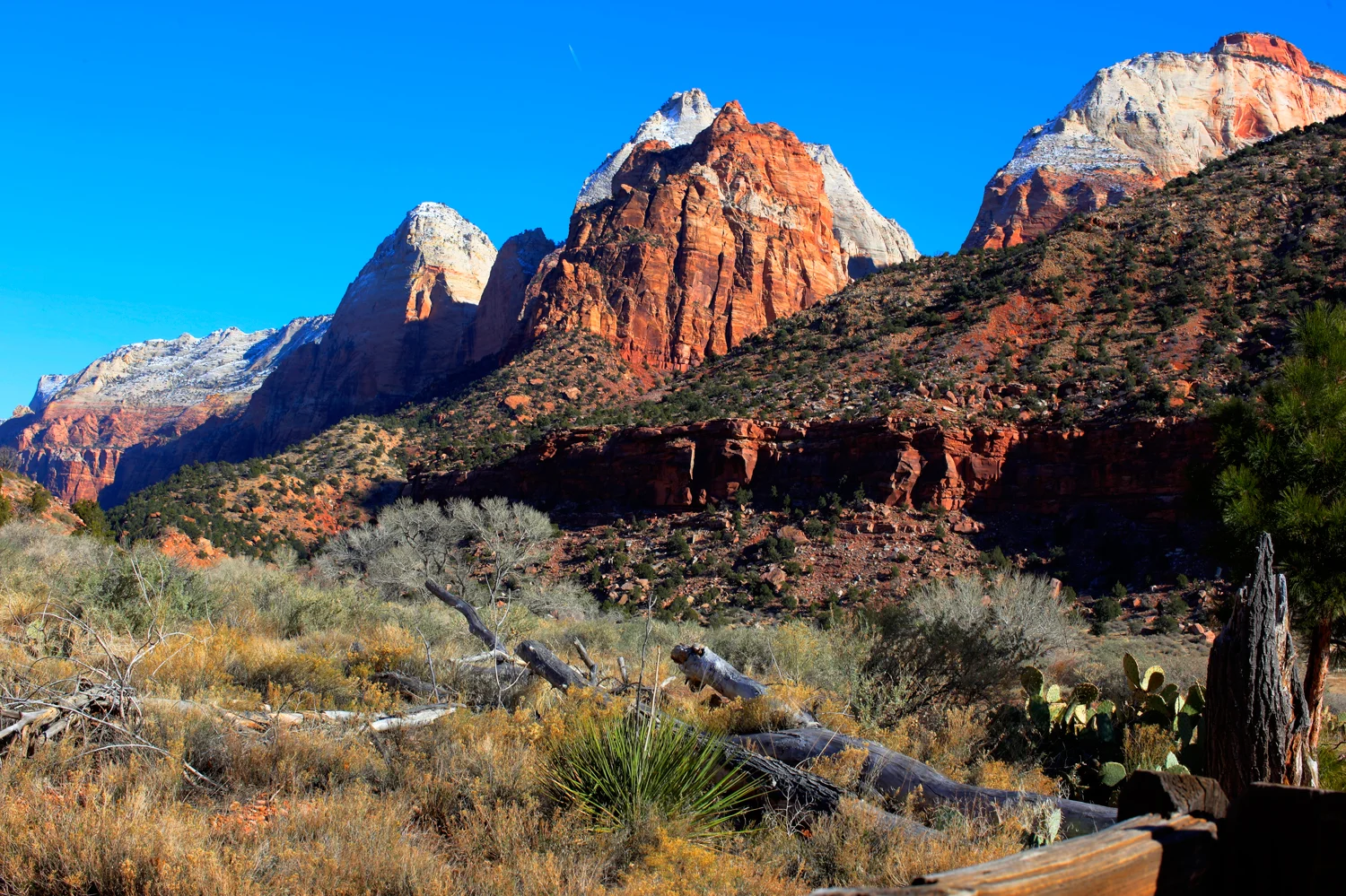 This image was taken at the beginning of Zion's National Park. The park is a wonder to see. 