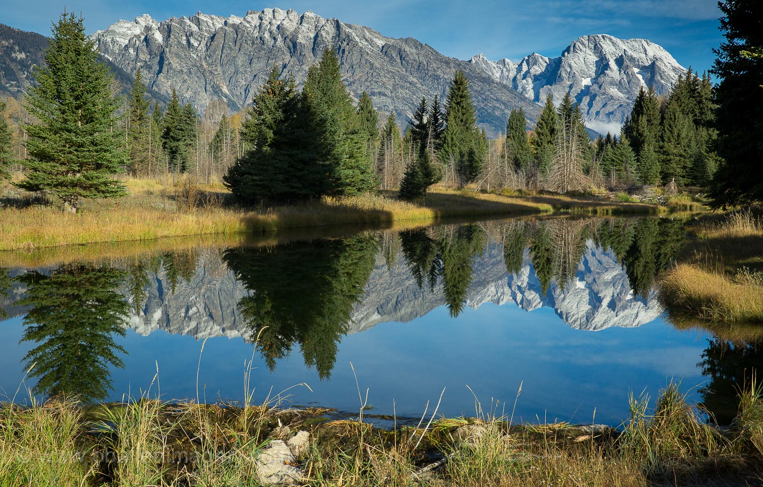 On the way to Schwabacher's Landing. Many people are trying to find some different reflections now that the original has changed.