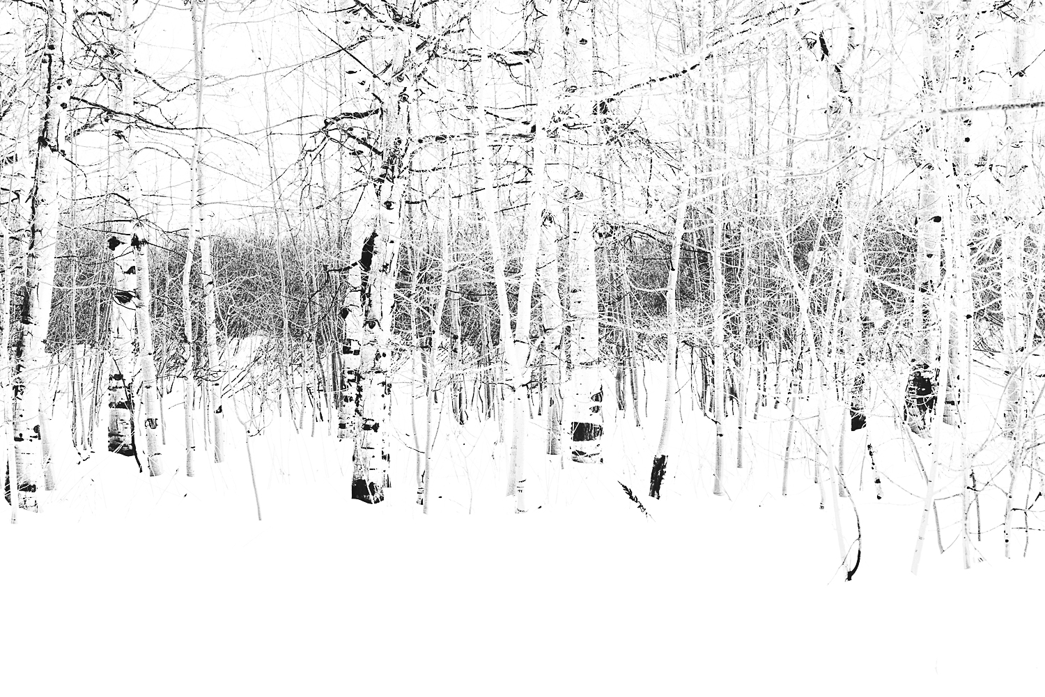 Logan Canyon, Utah