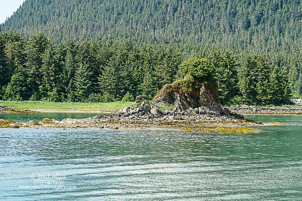 In Juneau we went on a whale watching and glacier tour.