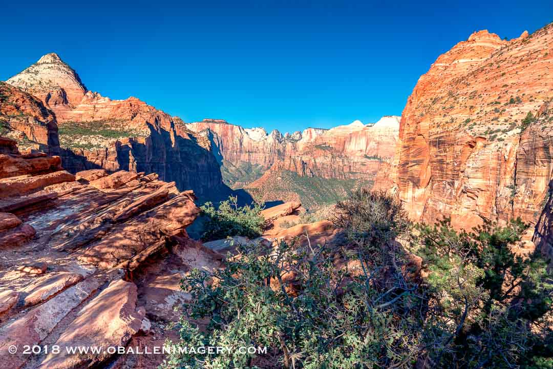 Zion Overlook.jpg