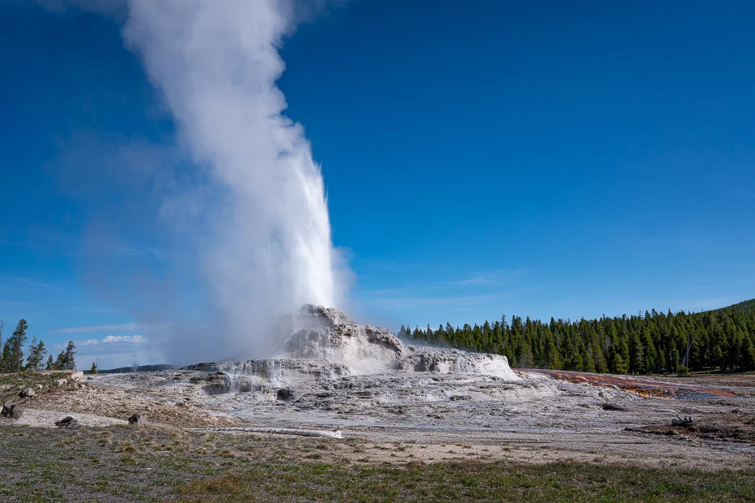 Jackson spring 2019-2.jpg