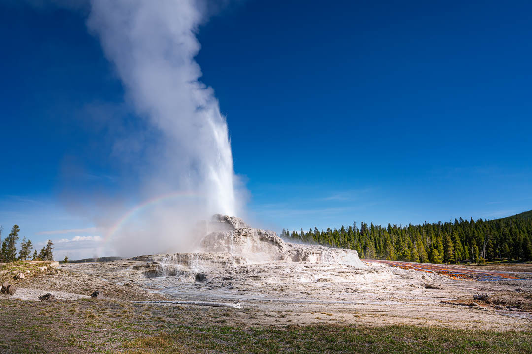 Yellowstone Spring 2019-9.jpg
