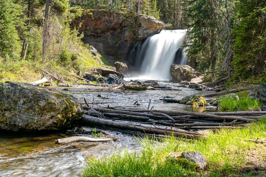 Yellowstone Spring 2019-19.jpg
