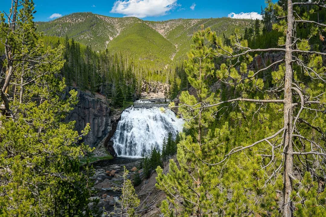 Yellowstone Spring 2019-17.jpg