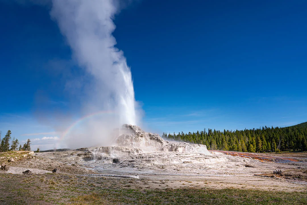Yellowstone Spring 2019-9.jpg